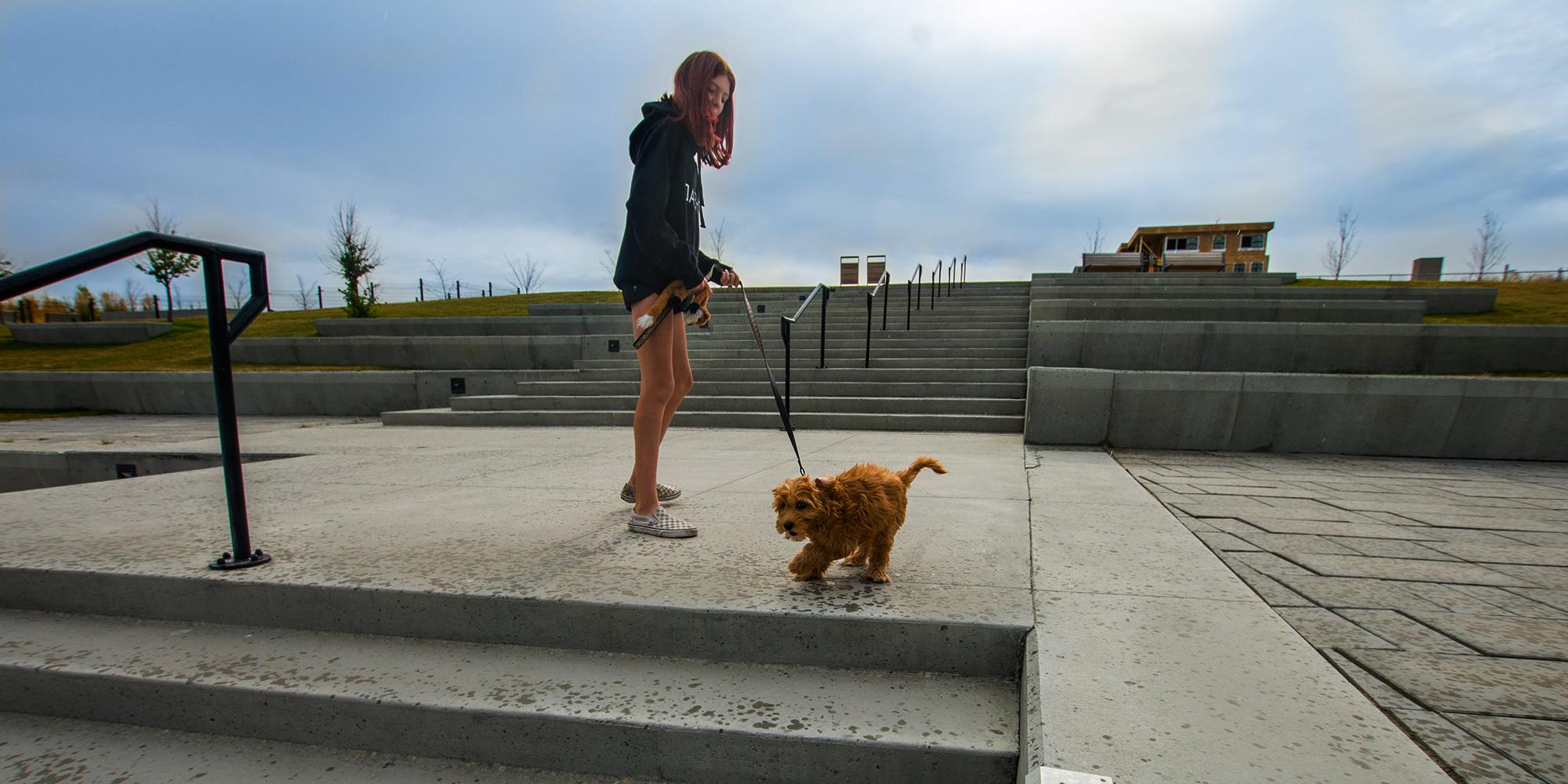 Person walking dog through University District